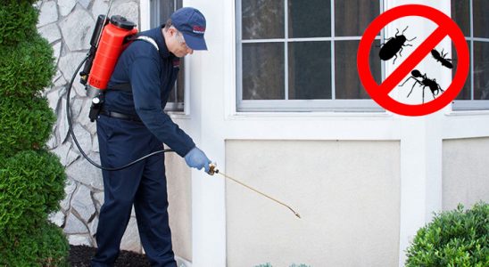 Pütürge Gümüşkurt İlaçlama böcek ilaçlama ve haşere kontrolü — ilaclama-tr.com